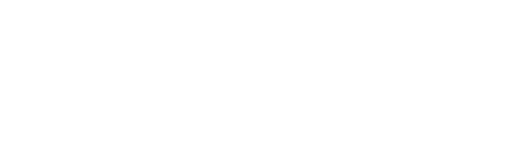 DZH