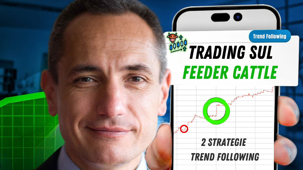 Trading sul Feeder Cattle: quasi 8.000 dollari in un mese con due strategie Trend Following