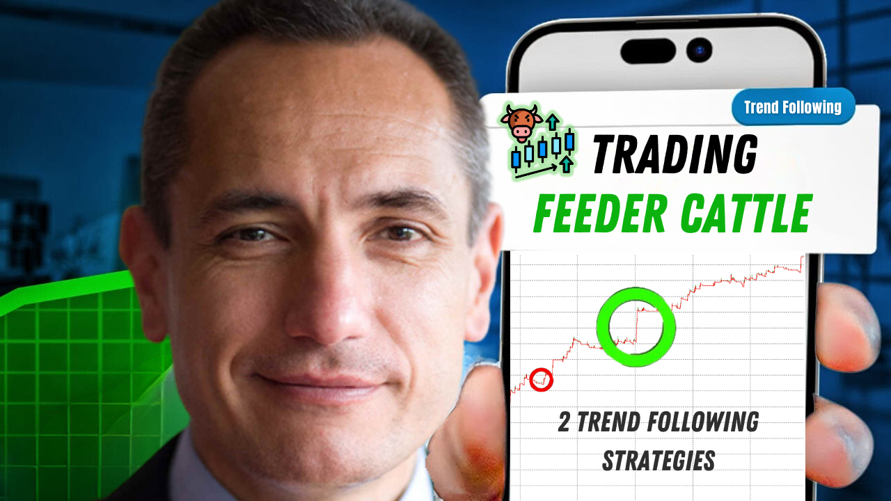 Trading Feeder Cattle: nearly 8,000 dollars in one month with two Trend Following strategies